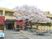 桜と屋外席のある庭  