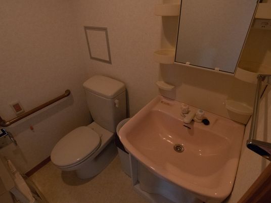 手前には多くの収納スペースがある洗面台がある。奥には洋式のトイレがあり、トイレの横の壁に手すりと緊急呼び出し用ボタンが備え付けられている。