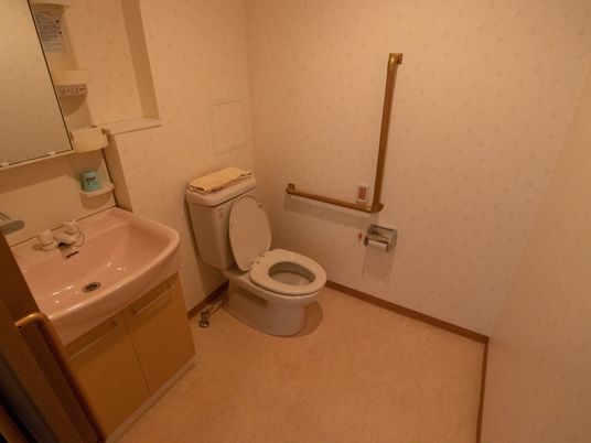 施設の写真 個室のドアは引き戸であり、入ってすぐに洗面台がある。また、トイレの横の壁には手すりと緊急用ボタンが設置されている。