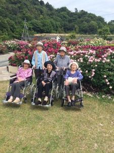 車椅子で楽しむ庭園