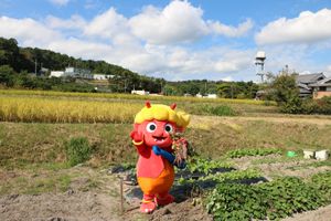 自然豊かな庭