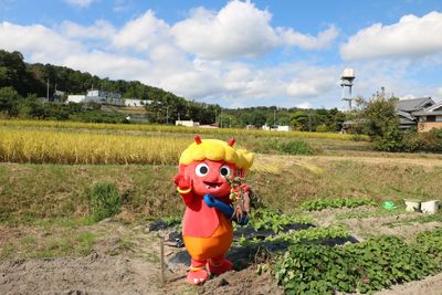 自然豊かな庭