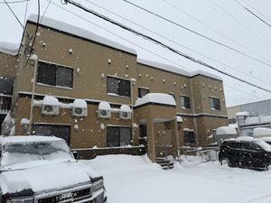 積雪の外観