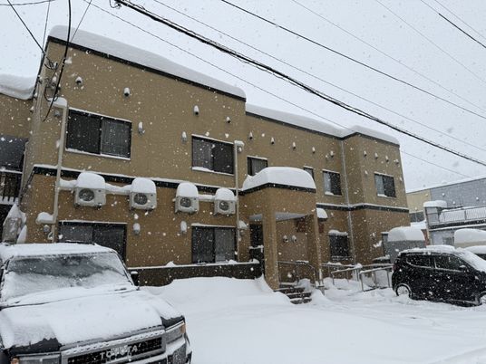 積雪の外観