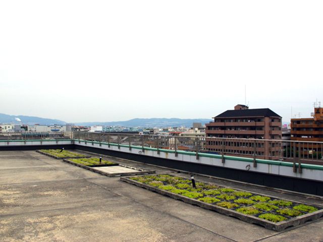 眺めの良い庭 庭 開放感あふれる屋上庭園です。都市の景色を一望しながら、リラックスしたひと時を過ごせます。