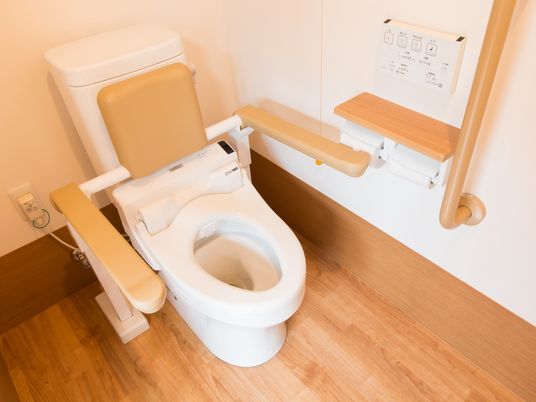 トイレは洋式で、便器の両側に可動式の手すり、タンクには背もたれが取り付けられている。洗浄機能が備わっている。