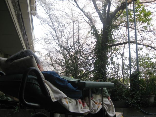 自然に囲まれた庭