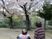桜を眺めるふたりの女性の姿