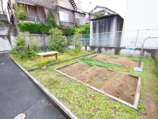 中庭の緑とベンチ