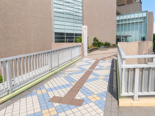 外来通路  