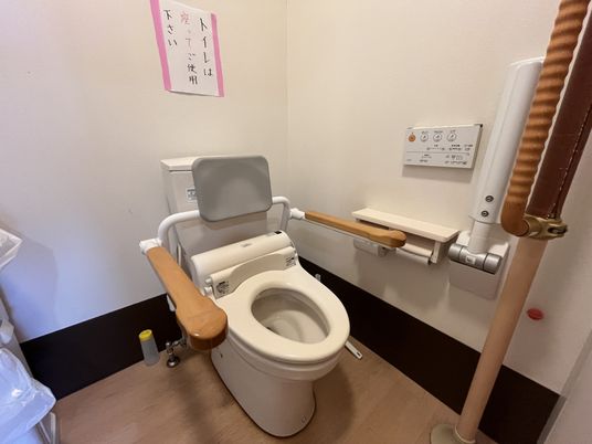 機能的なトイレ