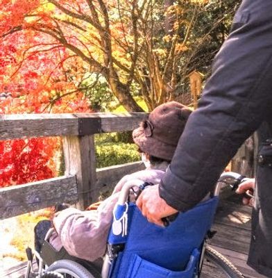車椅子での散策を楽しむ庭