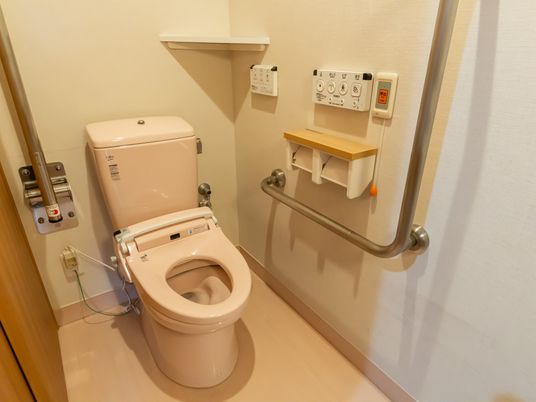 安全な設備のトイレ