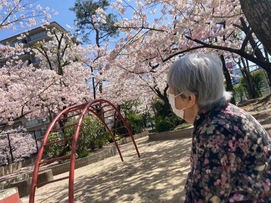 桜が咲く中庭  