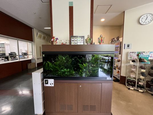 観葉植物のあるエントランス