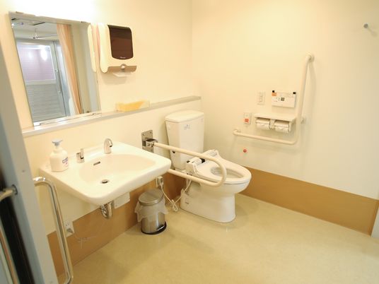 手すりが随所に設置されている。広々としており、清掃が行き届いている。洗面台には大きな鏡がついている。スライド式のドアである。