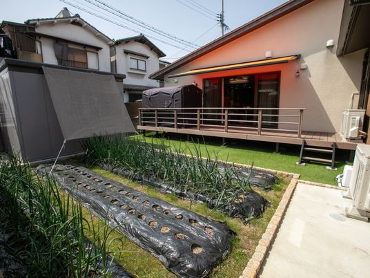 中庭の家庭菜園  