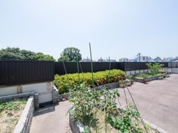 都市の緑豊かな庭