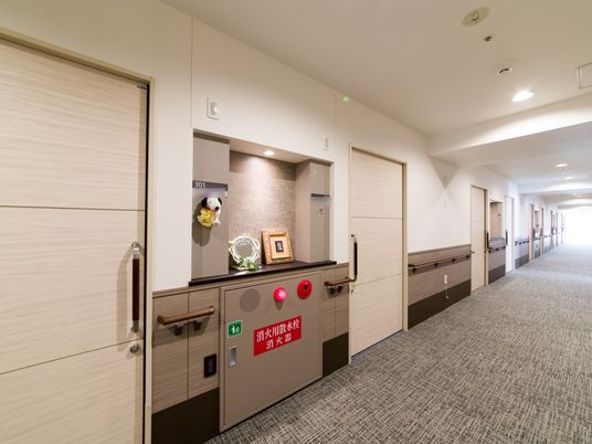  清潔な廊下と部屋の扉  