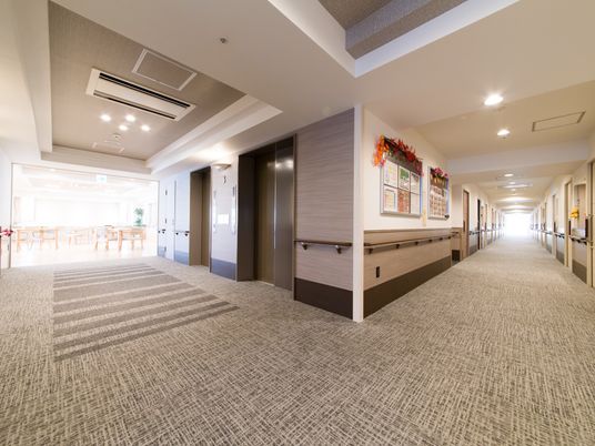 明るい廊下と掲示物 