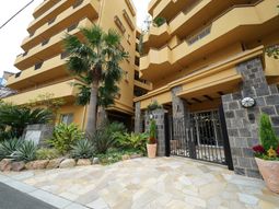 黄色い建物と緑の植物