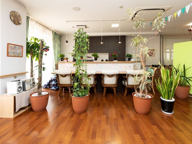 植物が並ぶ共有スペース リビングダイニング 木目調の床と緑豊かな植物が彩るダイニングでは、居心地の良さが提供されています。皆で楽しいひとときを過ごせる空間です。