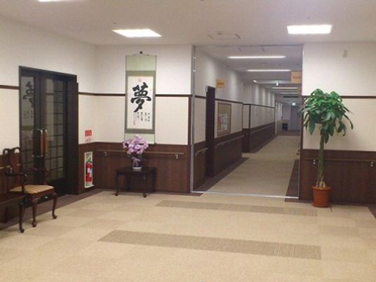 廊下にある椅子と植物