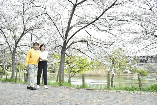 桜並木の小道