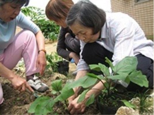 CHIAKIほおずき神戸玉津のレクリエーション。家庭菜園など中長期で楽しめるレクリエーションを開催している。
