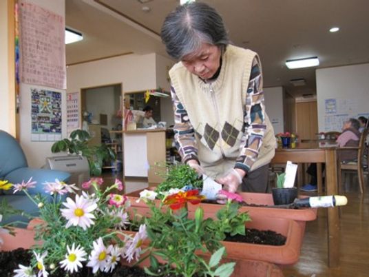 植物の手入れをする女性