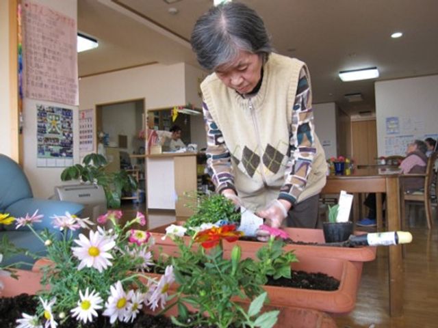 植物の手入れをする女性 レクリエーション風景3 ゆったりとした空間で植物の手入れを楽しむ利用者様の姿が見られます。心地好い室内での活動が、日々の潤いに繋がっています。