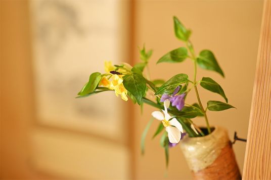 美しい花のアレンジメント