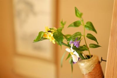 美しい花のアレンジメント