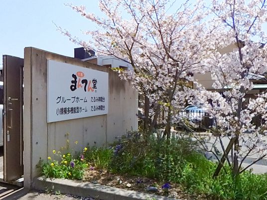 桜のある入口