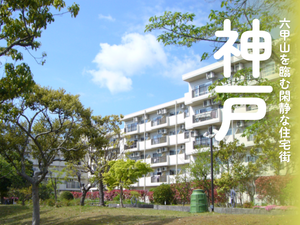 公園に面した建物