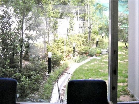 緑豊かな中庭の景色