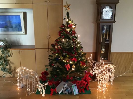 クリスマスツリーのある部屋