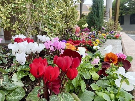 色とりどりの花が咲く庭