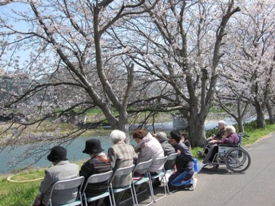 桜並木の憩いの場面