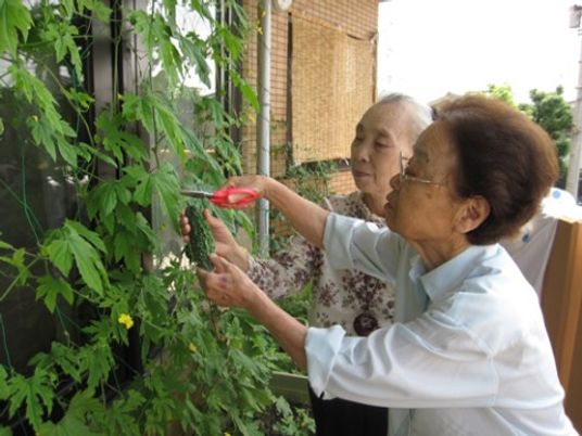 高齢者二人の植物観察