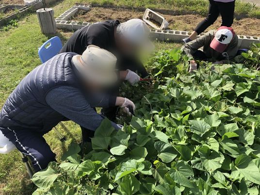 緑に囲まれた庭