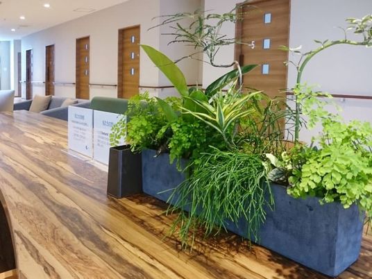植物が映える廊下  