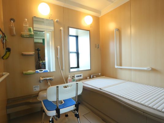 機能的な洋室の手すり