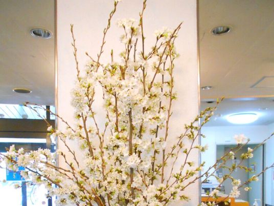 桜の装飾があるロビー  