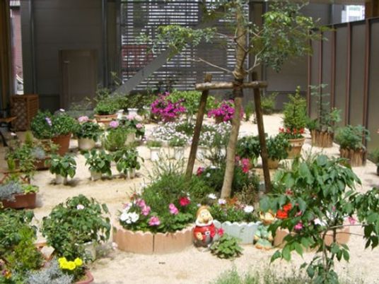 緑豊かな施設の中庭