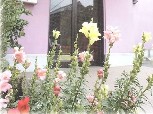 花壇のある中庭  