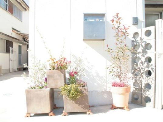 明るい庭の植木鉢