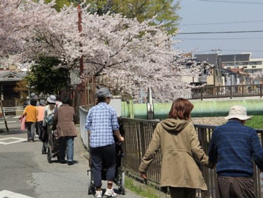 散歩する人たちと桜並木