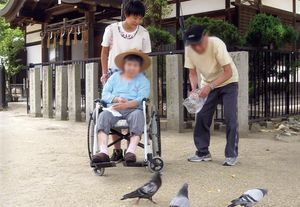 鳥と楽しむ庭