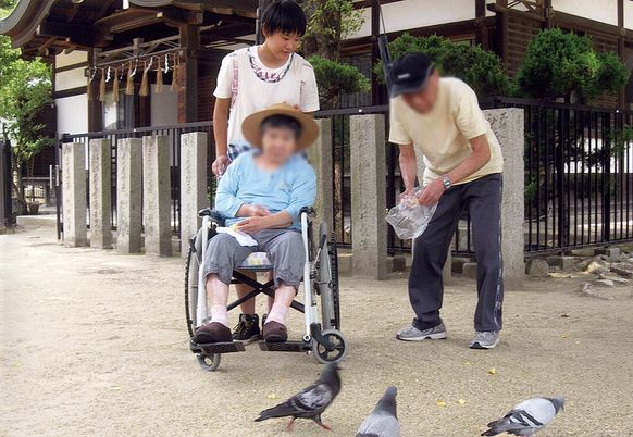 鳥と楽しむ庭